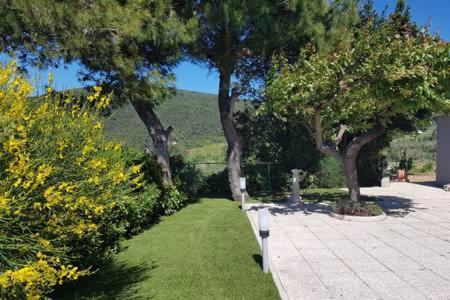 Casa Vacanze Bellavista Ancona Ngoại thất bức ảnh